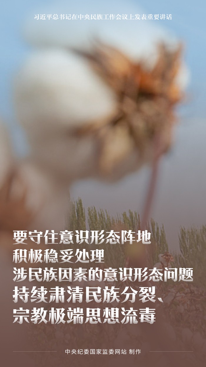 海报｜以铸牢中华民族共同体意识为主线 推动新时代党的民族工作高质量发展