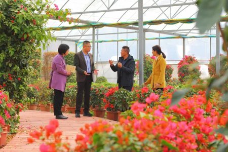 榜样丨一枝一叶总关情——记全国纪检监察系统先进集体福建省厦门市纪委监委党风政风监督室